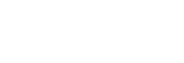DOLPHIN STAR Cheerleading School